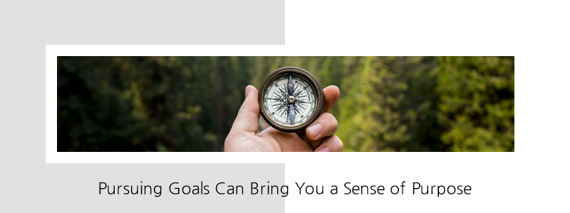 Read more about the article Pursuing Goals Can Bring You a Sense of Purpose