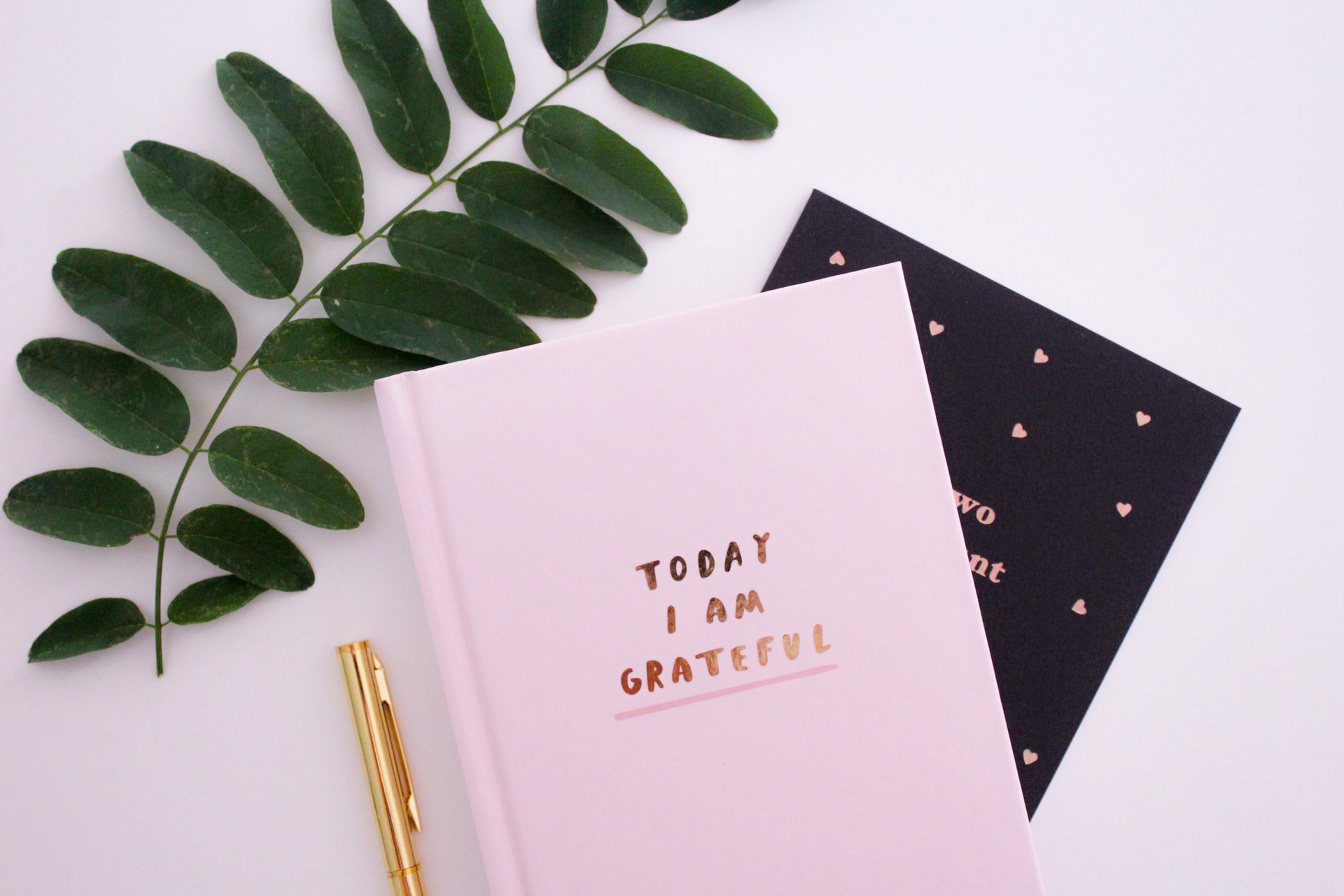 You are currently viewing Have You Heard of Gratitude Journals?