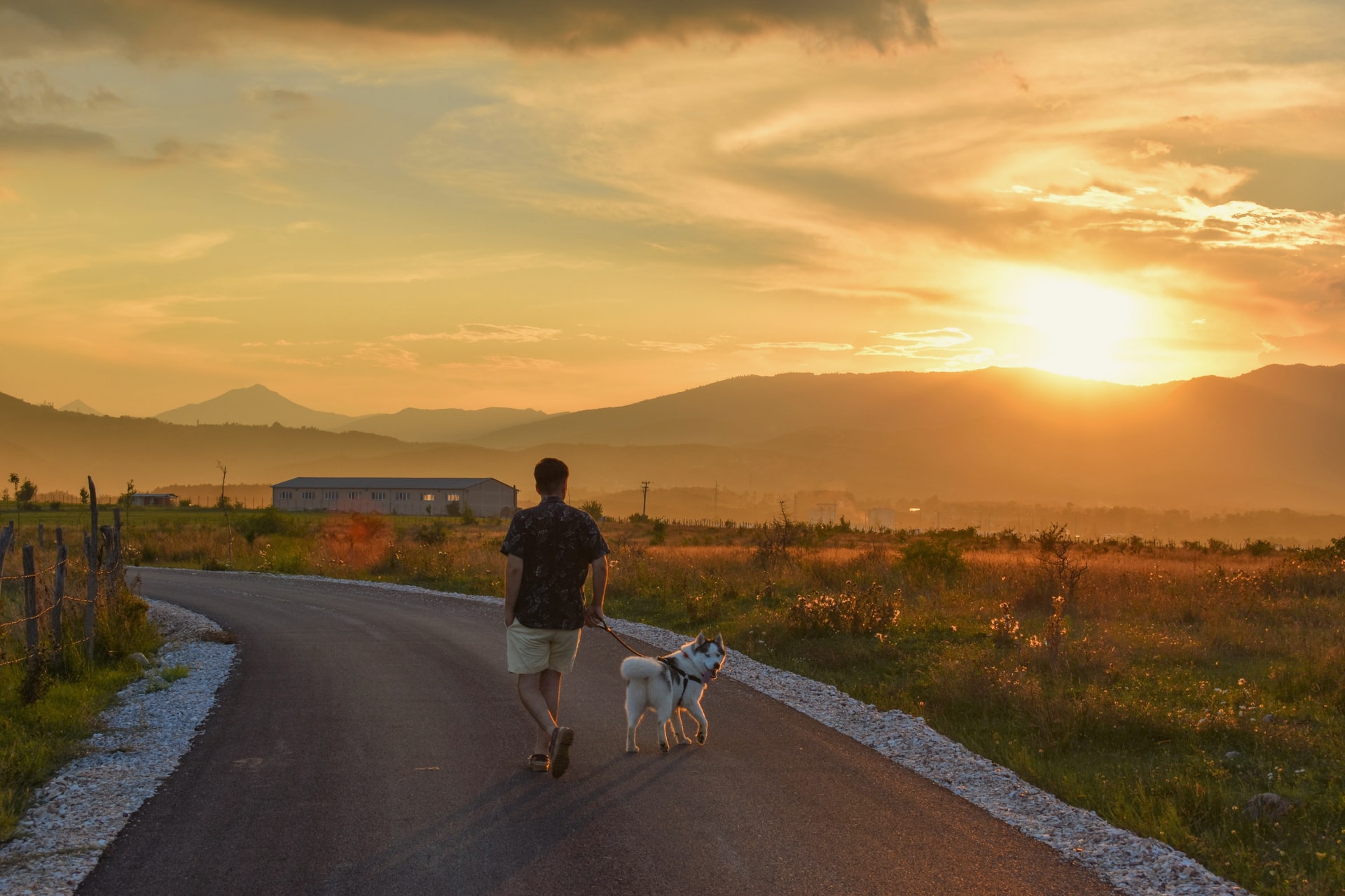 You are currently viewing Unplug and Walk Away to Encourage Slow Thinking and Subconscious Problem Solving